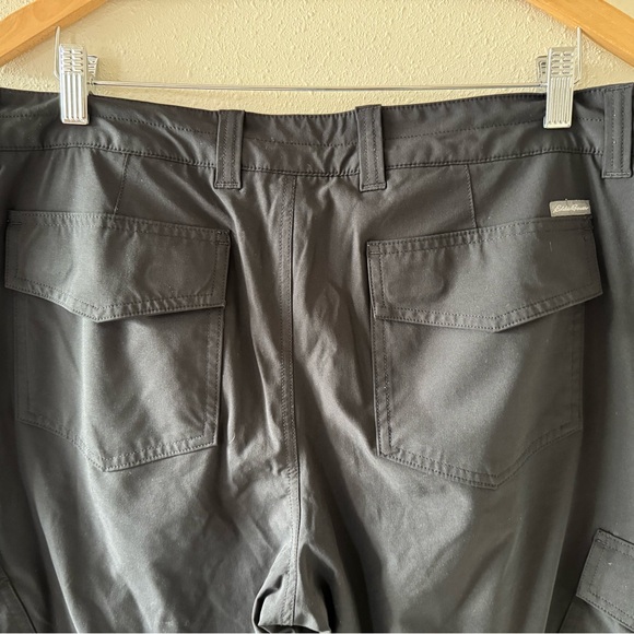 Eddie Bauer Travex Black Fleece Lined Hiking Outdoor Pants Sz 16 Women's - Picture 3 of 5